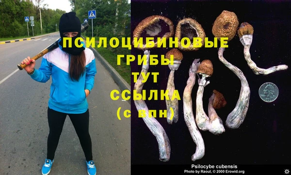 эйфоретик Ладушкин